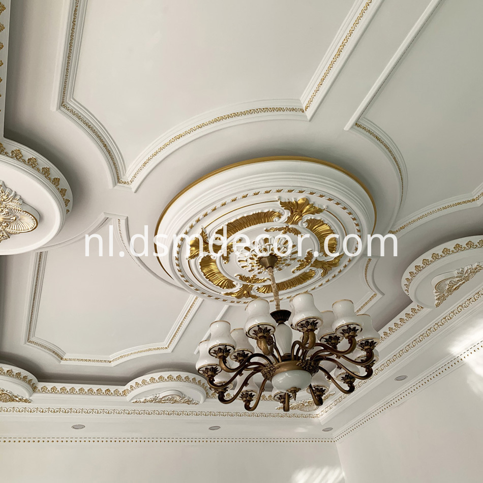 Nieuwe plafondrozet New Ceiling rose